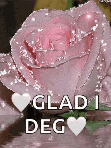 Pink Glitter Pinks GIF
