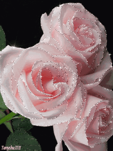 Pinks Pink Glitter GIF