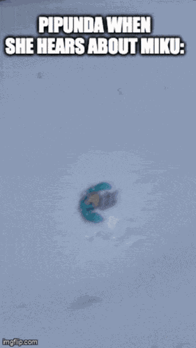 Pipunda Pipunda Fly GIF