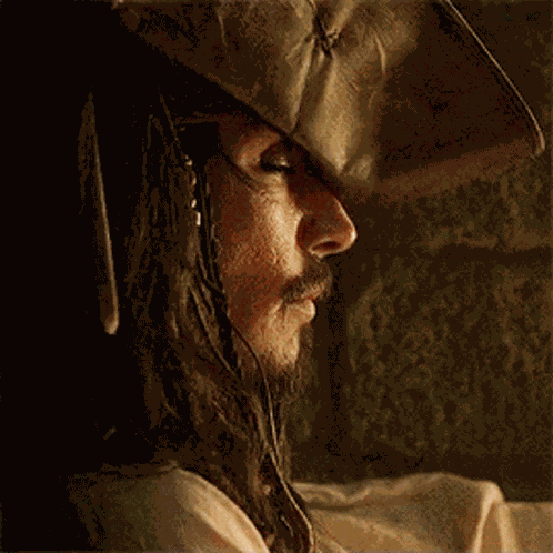 Pirates Of GIF
