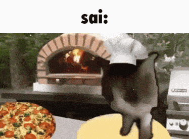 Pizzasai Cat GIF