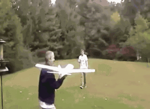 Plain Fail Toy Plain Fail GIF