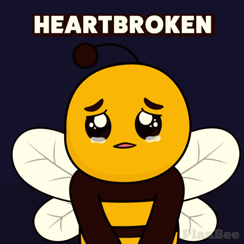 Plan B Planbee GIF