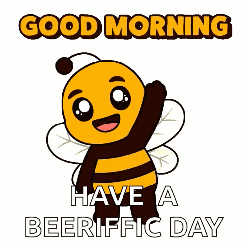 Plan B Planbee GIF
