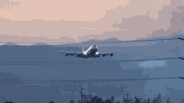 Plane Aircraft GIF