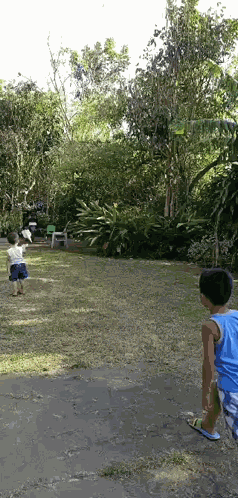 Plane Airplane GIF