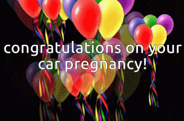 Plankscarpregnancy GIF