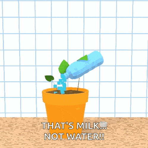Plant Houseplant GIF