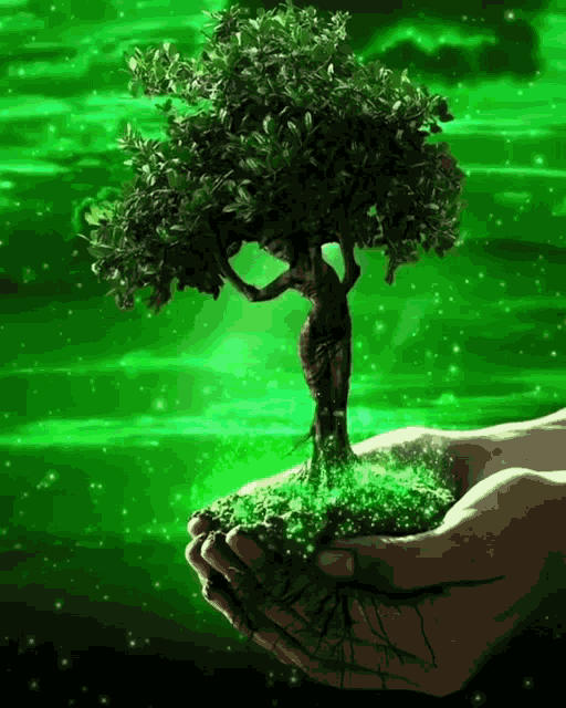 Plant Tree GIF