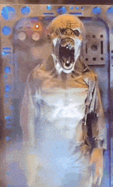 Plants Vs Zombies Zombie Land GIF