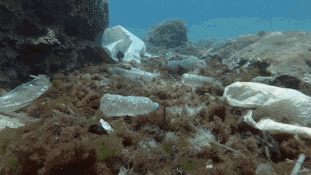 Plastic Ocean GIF
