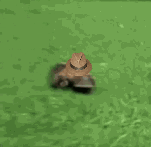 Platypus Perry GIF