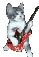 Playing Guitar Cat Sticker