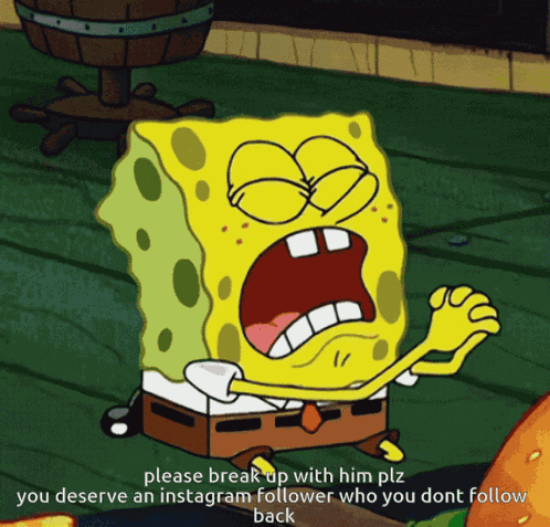 Please Follow Me Back Please Break Up GIF