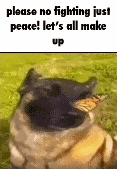 Please No Fighting Peace GIF