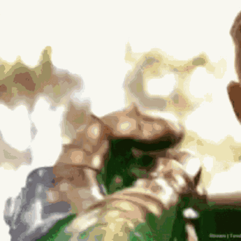 Plooshies Inevitable GIF