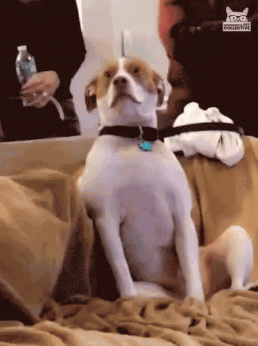 Pls Send Help Help Me GIF