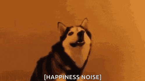 Plsdontusethistaganywhereelseitswaytolong GIF