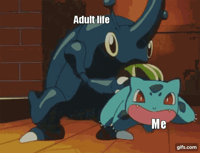 Pokemon Adult GIF