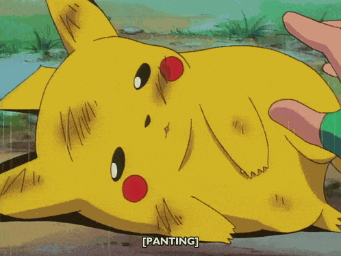 Pokemon Anime GIF