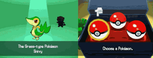 Pokemon Black GIF
