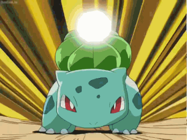Pokemon Bulbasaur Vs Meganium GIF