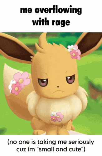 Pokemon Funny GIF