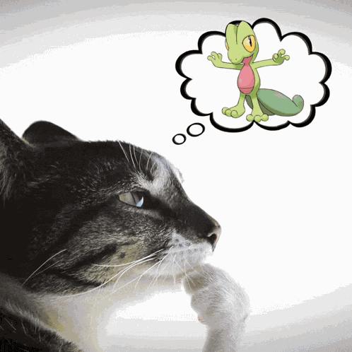 Pokemon Pokemon Starters GIF