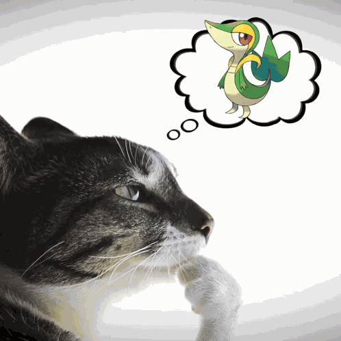 Pokemon Pokemon Trainer GIF