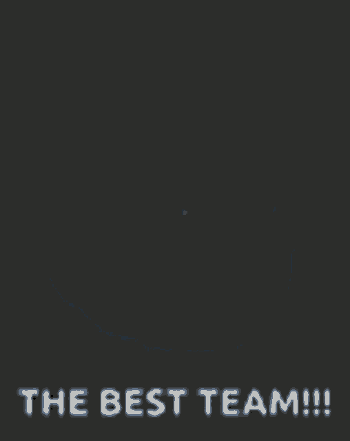 Pokemon The Best Team GIF