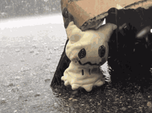 Pokemon GIF