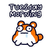 Poki Hamster Sticker