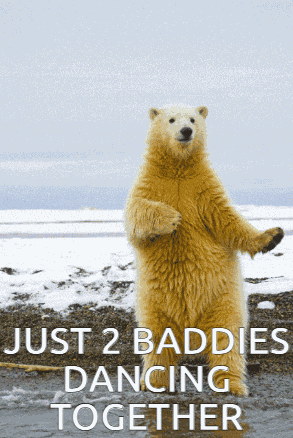 Polar Bear Dancing GIF