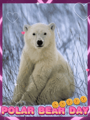 Polar Bear Day White Polar Bear GIF