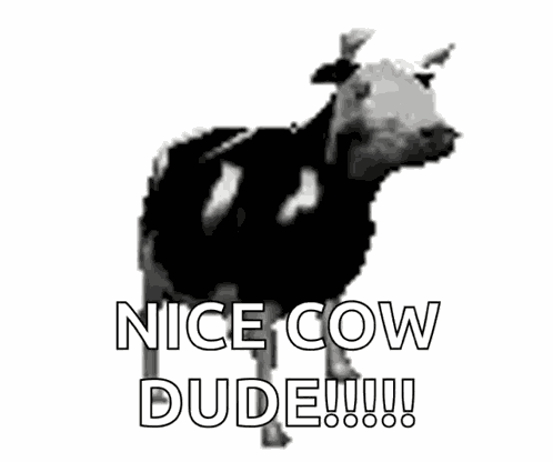 Polish Cow Cow GIF