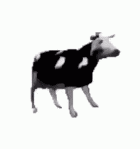 Polish Cow GIF