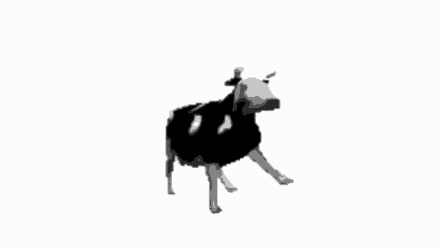 Polish Cow GIF