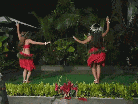 Polynesian Hips GIF