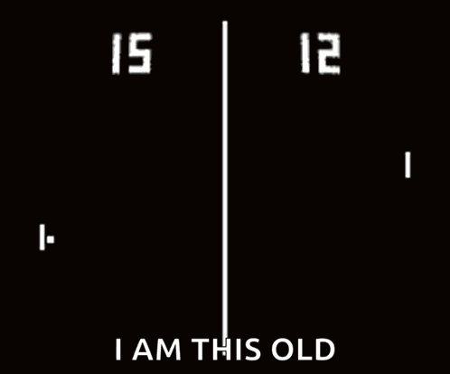 Pong Video Game GIF