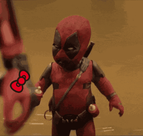 Pool Bow Lacinho GIF