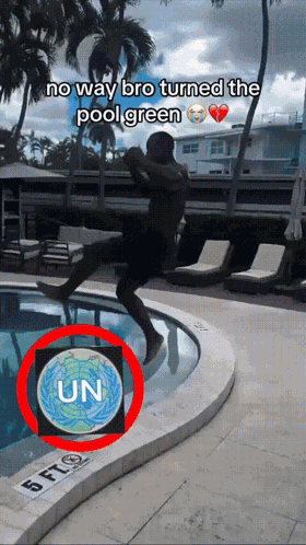 Pool Green Green Pool GIF