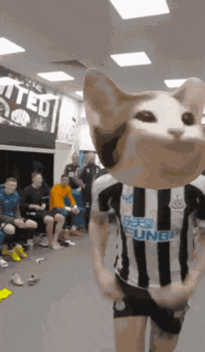 Popcat Popcat Solana GIF