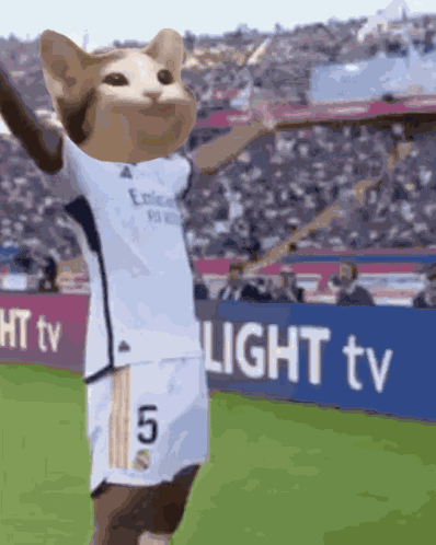 Popcat Popcatsolana GIF