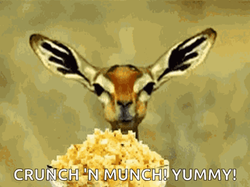 Popcorn Burn GIF