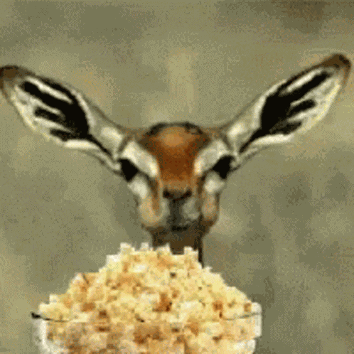 Popcorn GIF