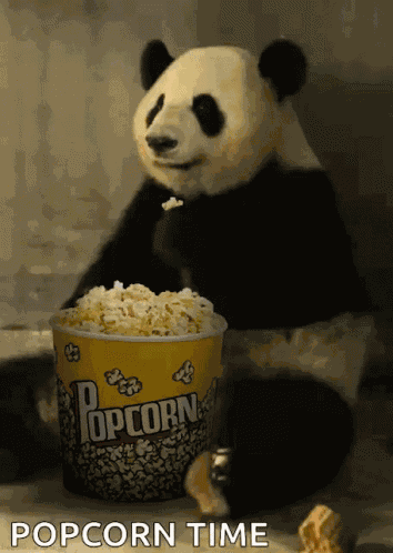 Popcorn Panda GIF
