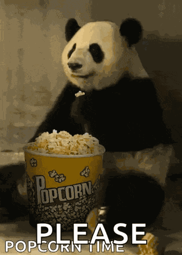 Popcorn Panda GIF