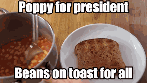 Poppy For President GIF