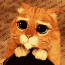 Por Favor Please GIF