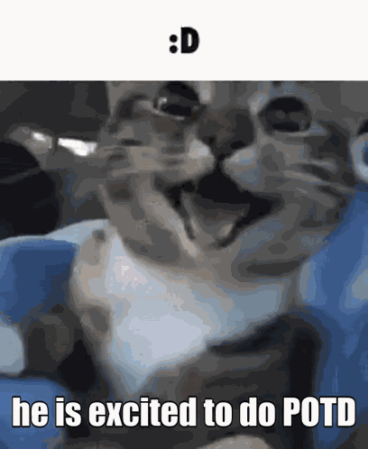 Potd GIF